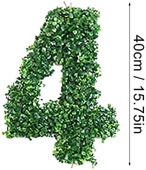 אבזרי צילום של יום האהבה קישוטי רקע למסיבה דיגיטלית של צמח דיגיטלי לוגו בן שנה אפקט תמונות דיגיטלי