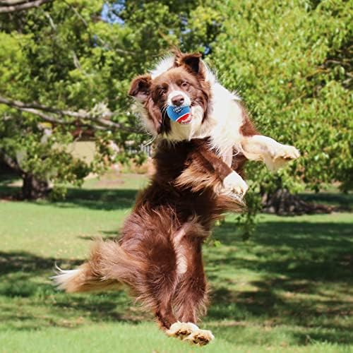 ג'יגווי צעצועי טניס טניס צעצועים, כדור כלבים אינטראקטיבי לאימוני כלבים קטנים ובינוניים, 2.5 אינץ 'צעצוע