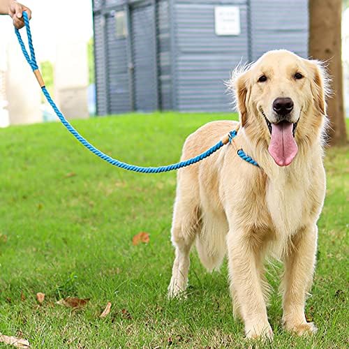 רצועת כלב כותנה רצועה באורך 5.6 רגל רצועה לכלב יומיומי הליכה ואימונים בכושר לכלבים קטנים בינוניים גדולים