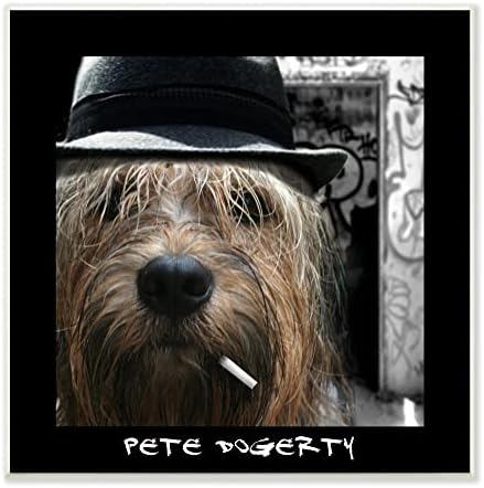תעשיות סטופל פיט דוגרטי מוסיקאי הומוריסטי כובע סיגריה כלב, עיצוב על ידי נוח ביי