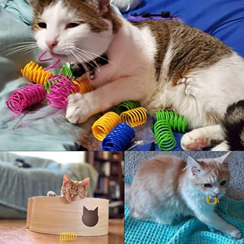 חתול אביב צעצועי 60 חבילה, צבעוני מעיינות חתול צעצועי אינטראקטיבי חתול צעצוע פלסטיק סליל ספירלת מעיינות